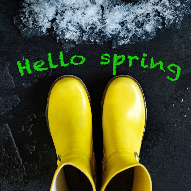 Hello spring Hello spring