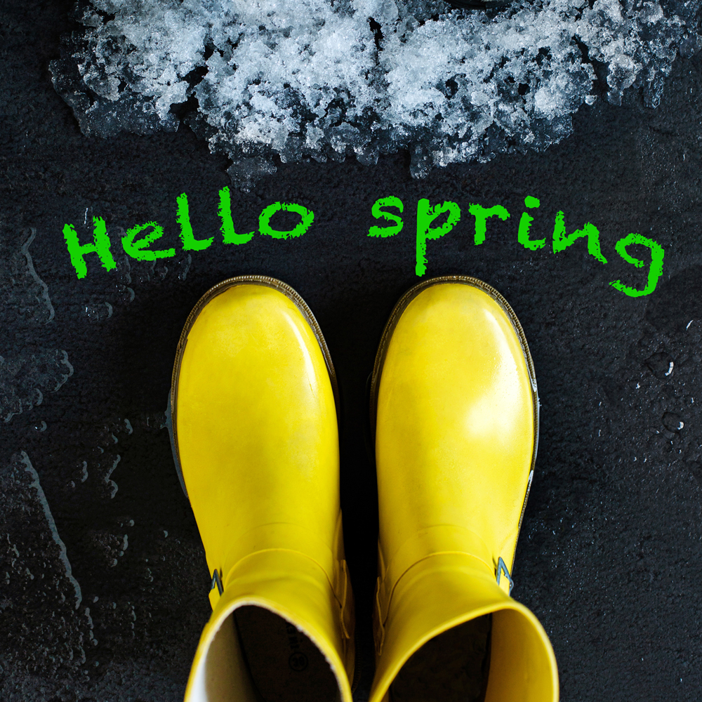 Hello spring