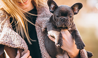 Pet Insurance Girl holding french bulldog for pet insurance