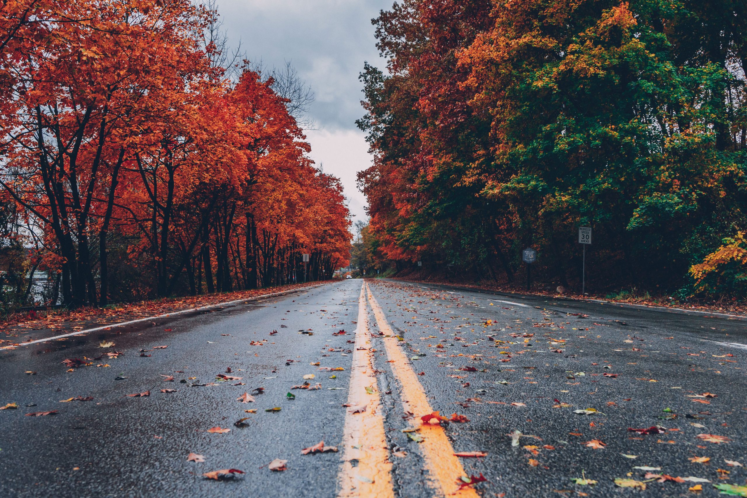 Fall road